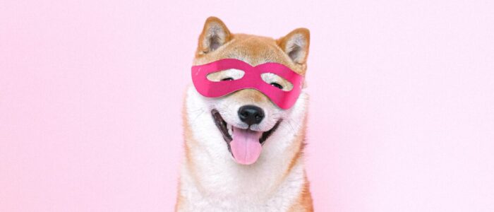 Shiba Inu (Japanse hond) met roze superhelden masker aan