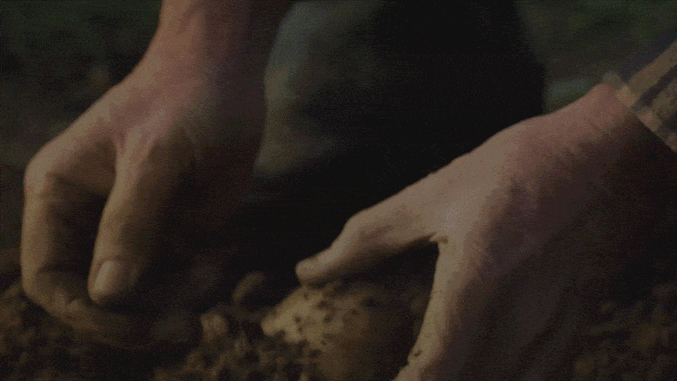 Warnez Potatoes